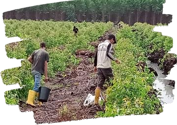 Business Consulting Blog